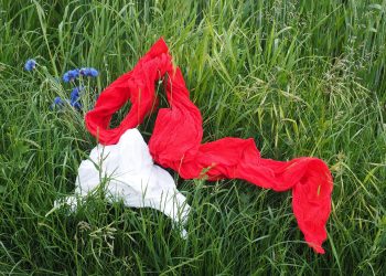 scarf, scarves, red, clothing, garments, colorful, meadow, romantic, idyll, scarf, scarf, scarf, scarves, scarves, scarves, scarves, scarves, clothing