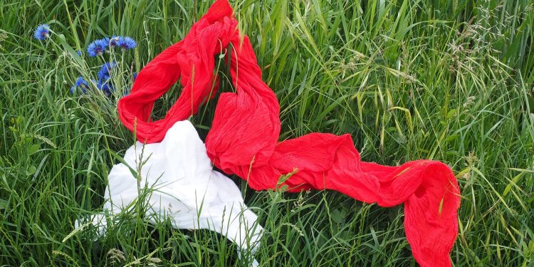 scarf, scarves, red, clothing, garments, colorful, meadow, romantic, idyll, scarf, scarf, scarf, scarves, scarves, scarves, scarves, scarves, clothing