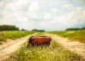 handbag, purse, bag, country lane, landscape, nature, vintage, leather, retro, leather bag, fashion, outdoors, handbag, handbag, purse, bag, bag, bag, bag, bag, leather, leather bag