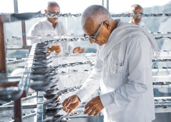 lamp wicks, pahan thira, oil lamps, old men, sri lanka, sri lankan culture, old men, old men, old men, sri lanka, sri lanka, sri lanka, sri lanka, sri lanka